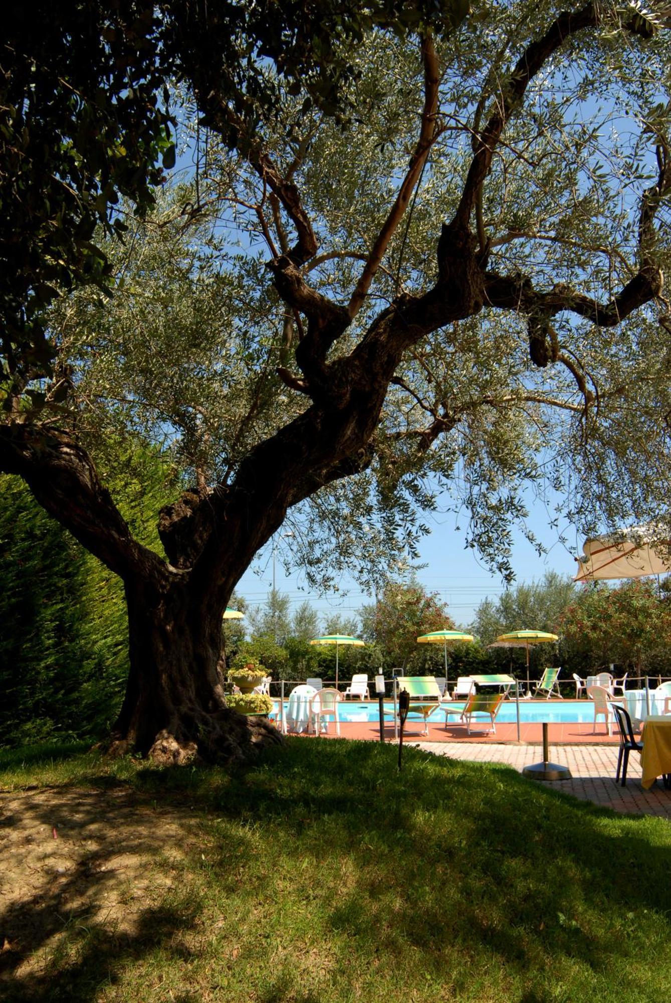 Scerne Hotel Parco Degli Ulivi מראה חיצוני תמונה