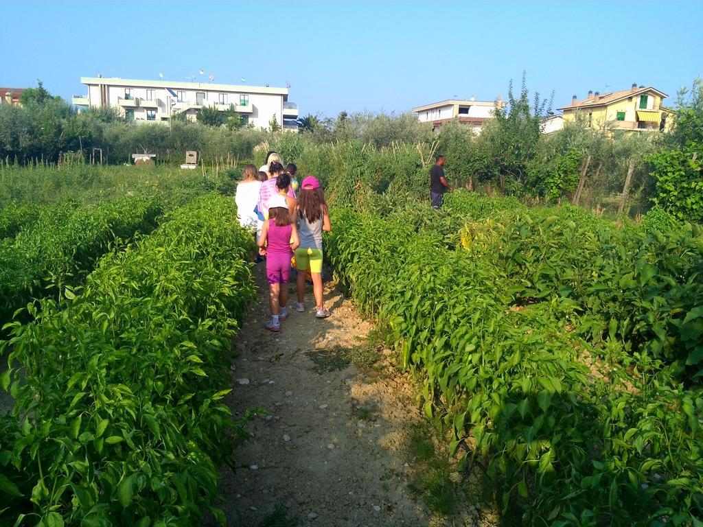 Scerne Hotel Parco Degli Ulivi מראה חיצוני תמונה